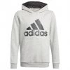 Adidas - Kid's Essentials Hoodie